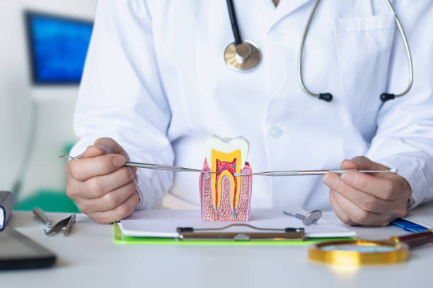 Best Same-Day Emergency Dentist in Madison Center, CT